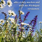 Blumenwiese bei Sonnenschein als Spruchbild