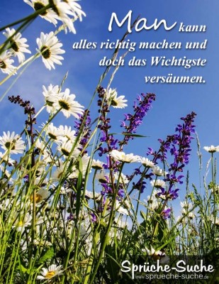 Blumenwiese bei Sonnenschein als Spruchbild