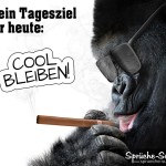Spruchbild mit Affe, der Zigarre raucht und eine Sonnenbrille trägt