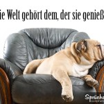 Hund macht Schläfchen auf Sofasessel als Spruchbild für Glück