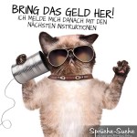 katze am Blechbüchsentelefon mit Sonnenbrille