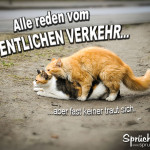 2 sich paarende Katzen mit lustigem Spruch