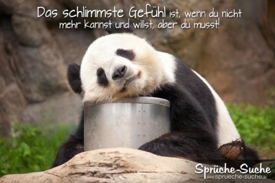 Erschöpfter Pandabär als nachdenkliches Spruchbild