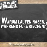 Fragen die die Welt nicht braucht - Warum laufen Nasen, während Füße riechen?