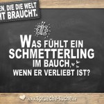 Fragen die die Welt nicht braucht - Was fühlt ein Schmetterling im Bauch, wenn er verliebt ist?