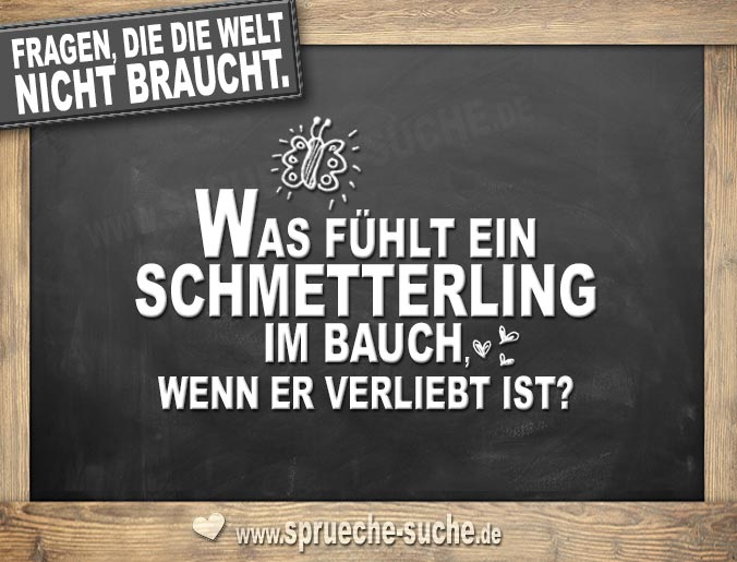 Fragen Die Die Welt Nicht Braucht Was Fühlt Ein Schmetterling Im