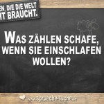 Fragen die die Welt nicht braucht - Was zählen Schafe, wenn sie einschlafen wollen?