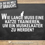 Fragen die die Welt nicht braucht - Wie lange muss eine Katze trainieren, um ein Muskelkater zu werden?