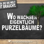 Fragen die die Welt nicht braucht - Wo wachsen eigentlich Purzelbäume?