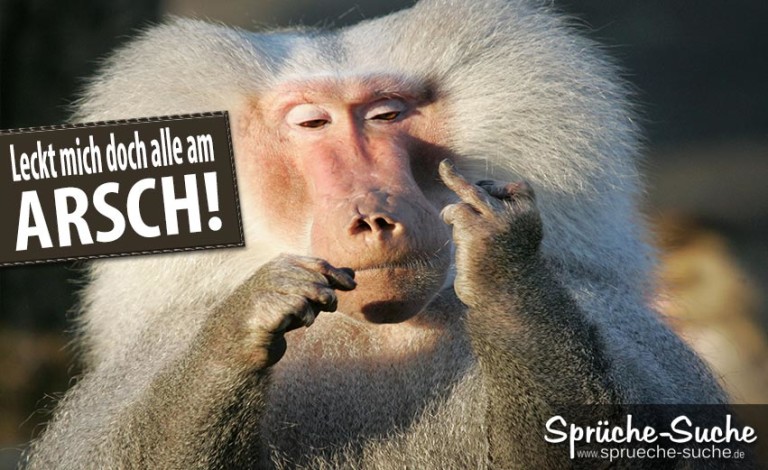 Leckt mich doch alle am Arsch! Sprüche