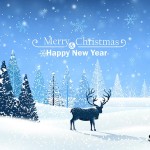 Sprüche zu Weihnachten - Merry Christmas and Happy new Year
