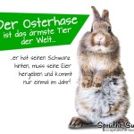 Lustiges Spruchbild zum Versenden zu Ostern