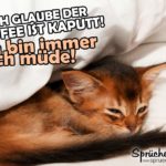 Kaffee kaputt - Katzen-Spruch