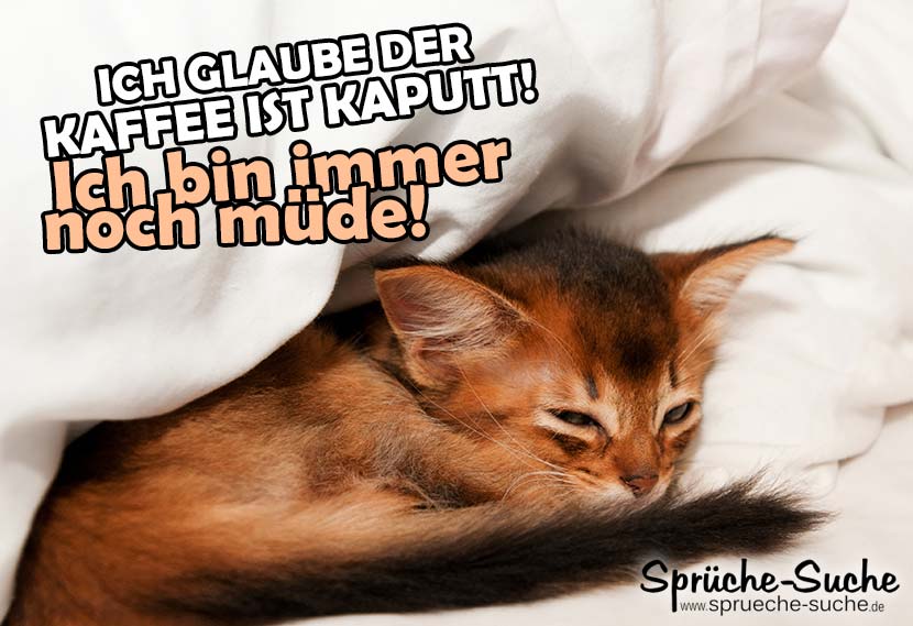 34+ Sprueche zum totlachen kostenlos , Kaffee kaputt Katze Spruch SprücheSuche