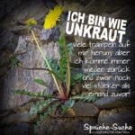 Motivation Sprüche - Unkraut Löwenzahn