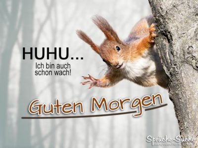 Traumfrau guten morgen guten morgen