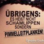 versauter Spruch über Schamlippen