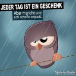 Spruch mit Eule auf Ast bei Regen: Scheiß Tag