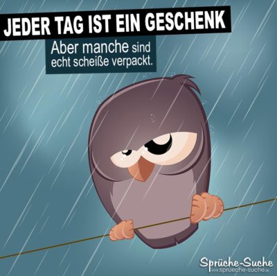 Spruch mit Eule auf Ast bei Regen: Scheiß Tag