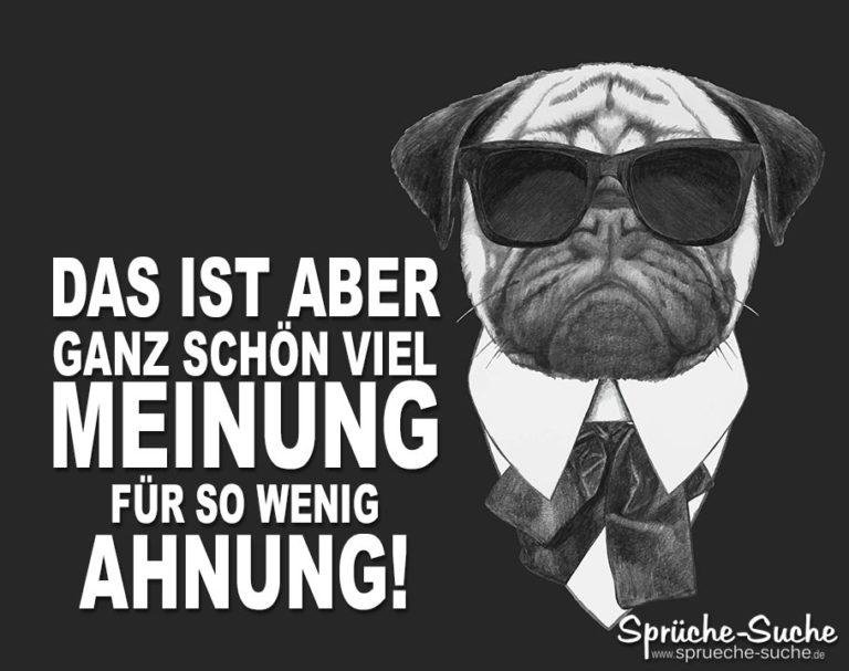 Viel Meinung Wenig Ahnung Lustige Sprüche