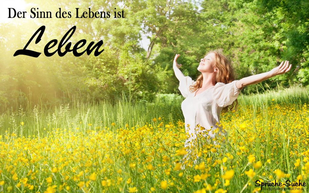 Der Sinn des Lebens LEBEN! Schöne Sprüche & Lebensweisheiten