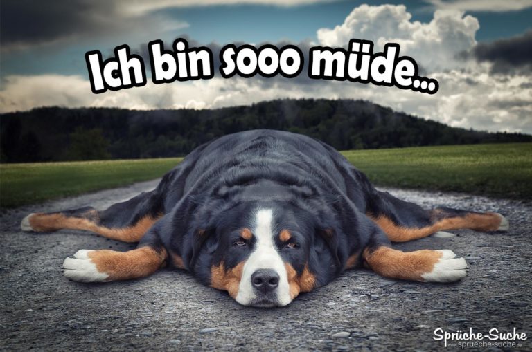 Ich Bin Einfach Nur Müde www.sprueche-suche.de