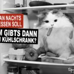 Lustige Sprüche Essen und abnehmen - Katze im Kühlschrank