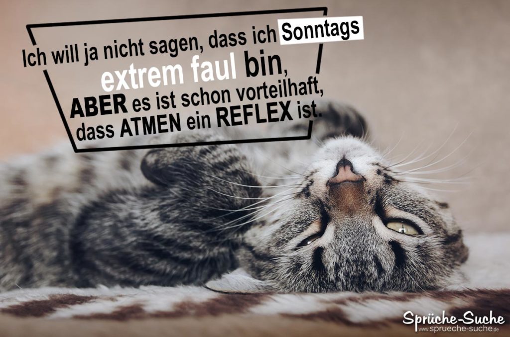 SONNTAG's bin ich FAUL Lustige Sprüche zum Sonntag ♥