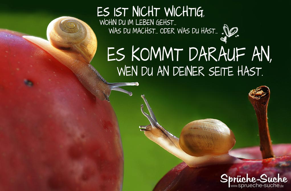 Lustiges und Positives - Seite 2 Liebe-und-freundschaft-weise-sprueche-mit-schnecken