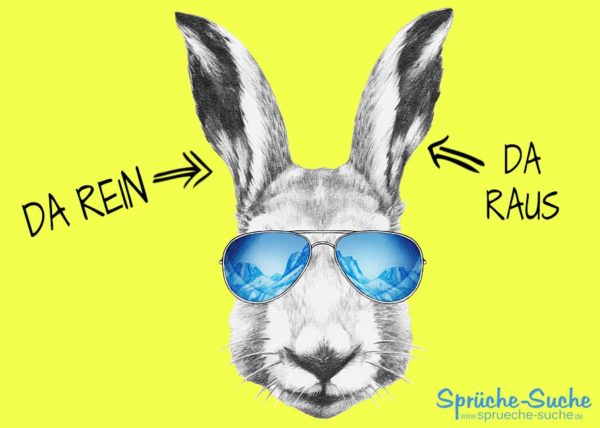 Sprüche Diskussion - Da rein, da raus Hase