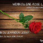 Liebe Sprüche - Vergleich mit Rose und Dornen