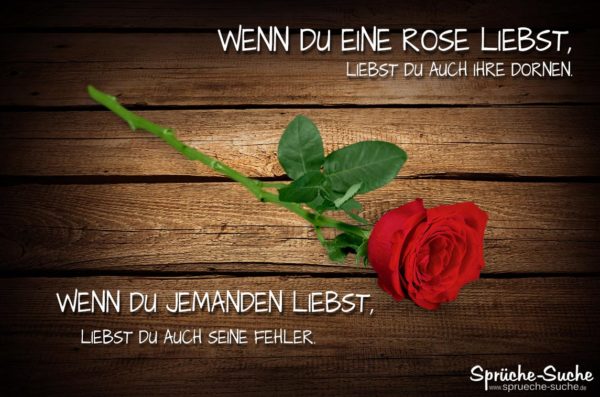 Liebe Sprüche - Vergleich mit Rose und Dornen