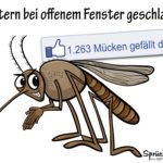 Mücke gestochen - Lustige Sprüche für Facebook