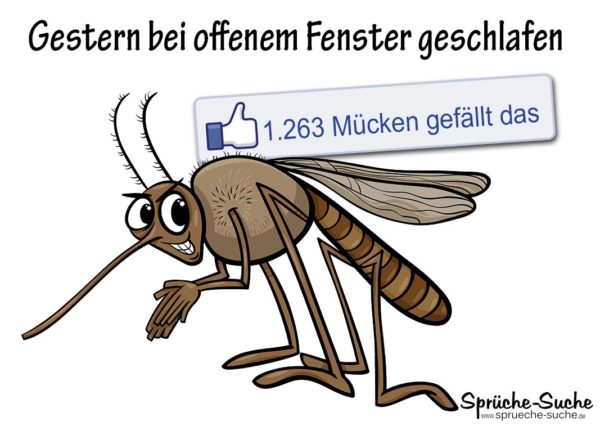 Mücke gestochen - Lustige Sprüche für Facebook