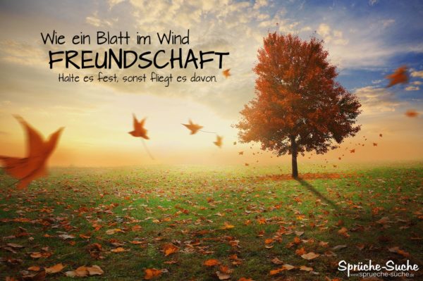 Wie ein Blatt im Wind Freundschaft Sprüche & Bilder