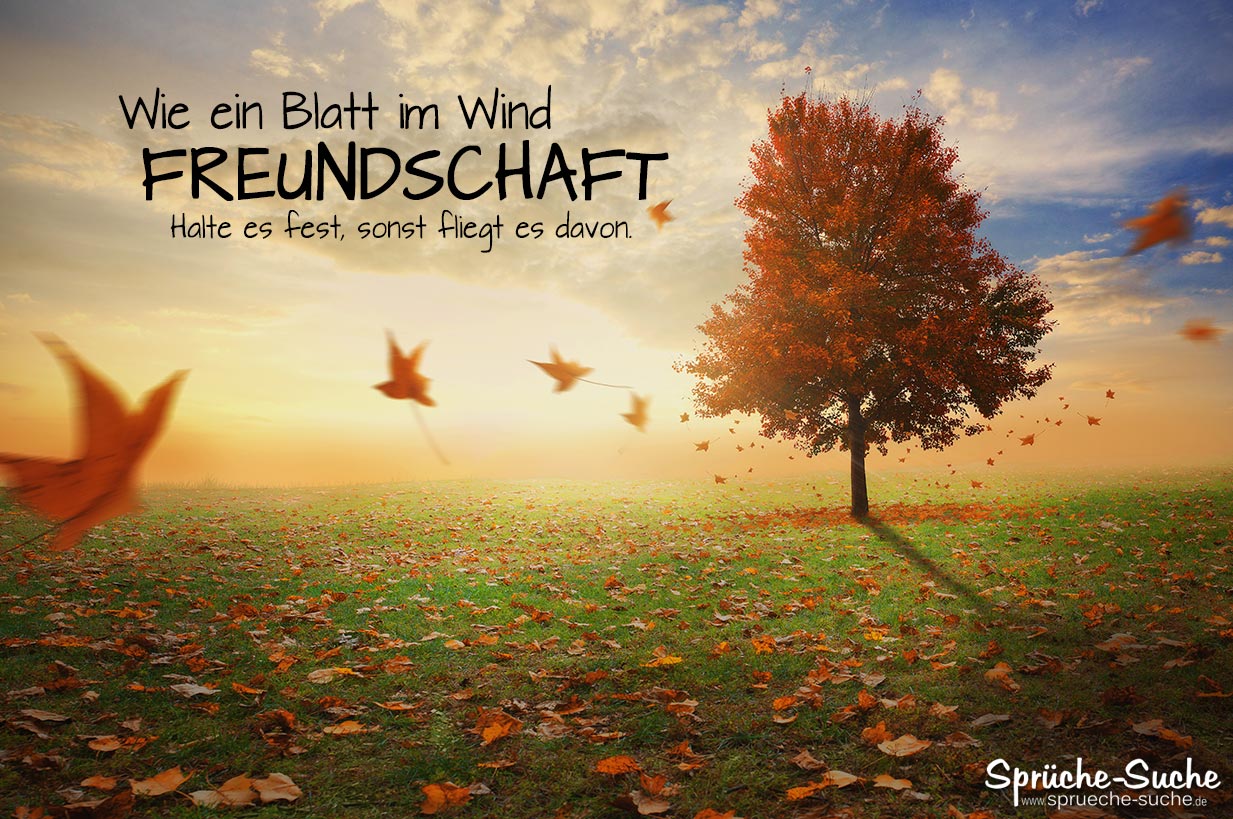 freundschaft spruch zum nachdenken blatt im wind