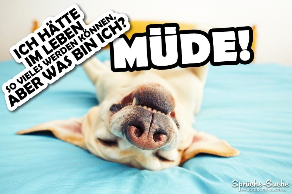 Was bin ich? MÜDE! Lustige und coole Sprüche!