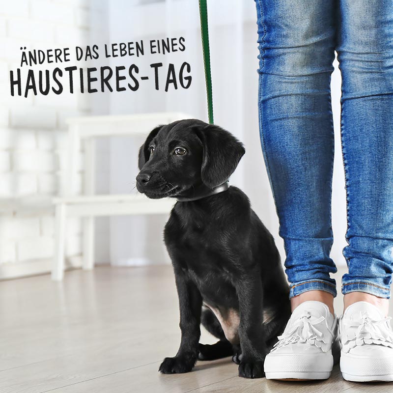 Spruch das schöneste Kleidungsstück einer Frau SprücheSuche