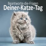 Beantworte-die-Fragen-Deiner-Katze-Tag