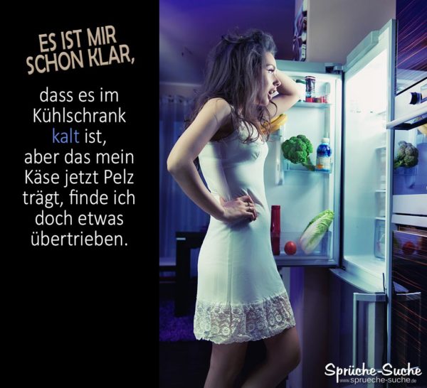 Käse schimmelt - Lustiger Spruch am Kühlschrank