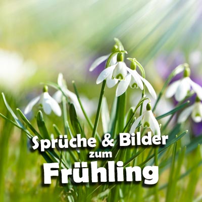 Schöne Frühling-Sprüche - Schneeglöckchen