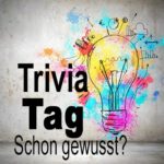 Trivia-Tag