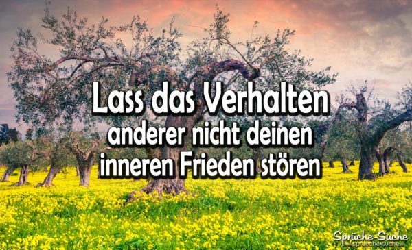 Dalai Lama - Lass das Verhalten anderer nicht deinen inneren Frieden stören