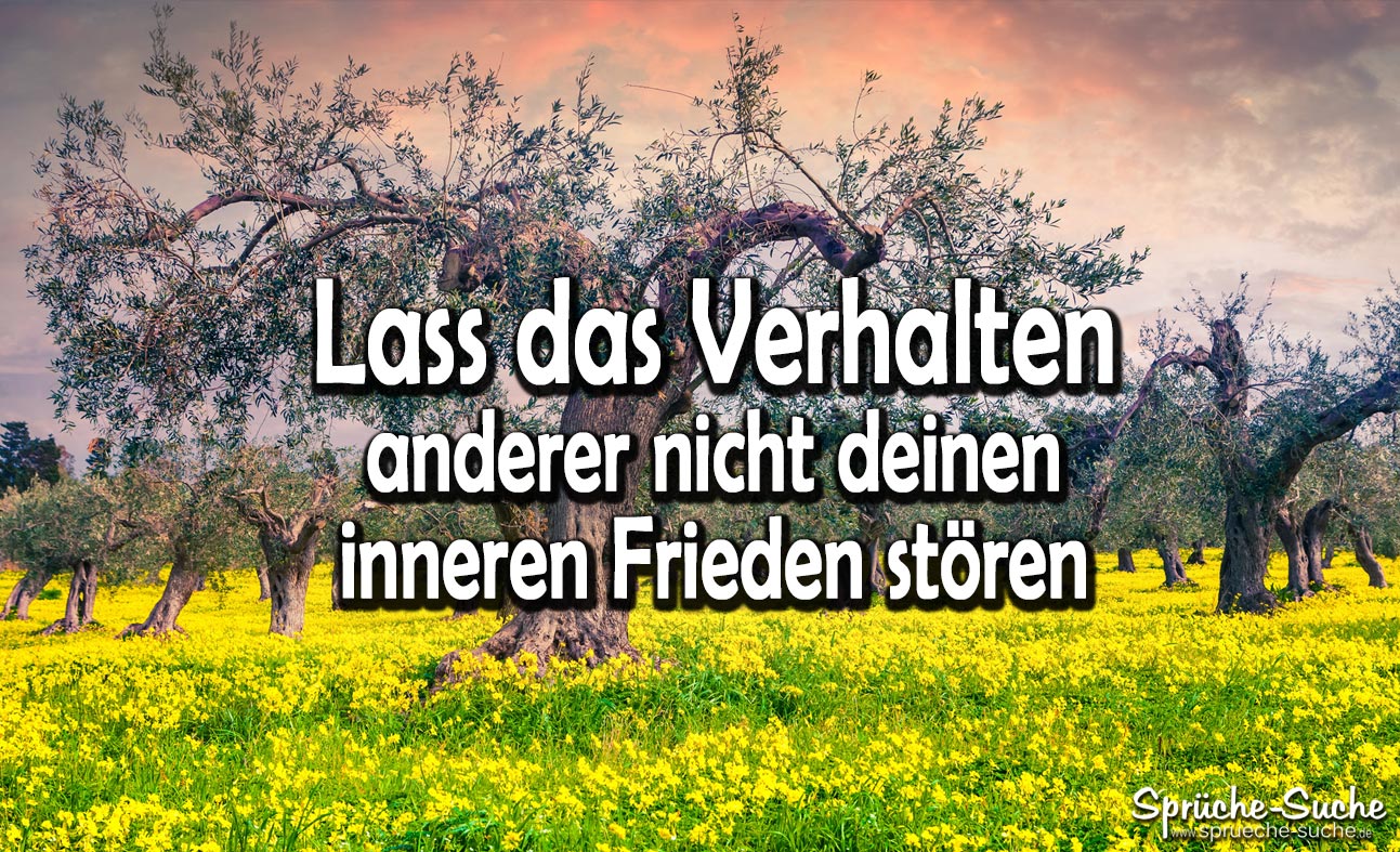 Dalai Lama Lass Das Verhalten Anderer Nicht Deinen Inneren Frieden Storen Spruche Suche