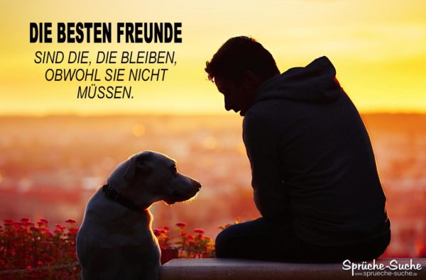 Die besten Freunde Hund und Mensch