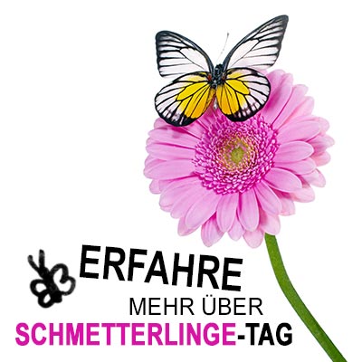 Erfahre-mehr-über-Schmetterlinge-Tag