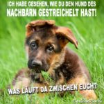 Hund des Nachbarn gestreichelt - Lustige Bilder und Sprüche