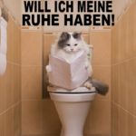 Katze auf Klo liest Zeitung