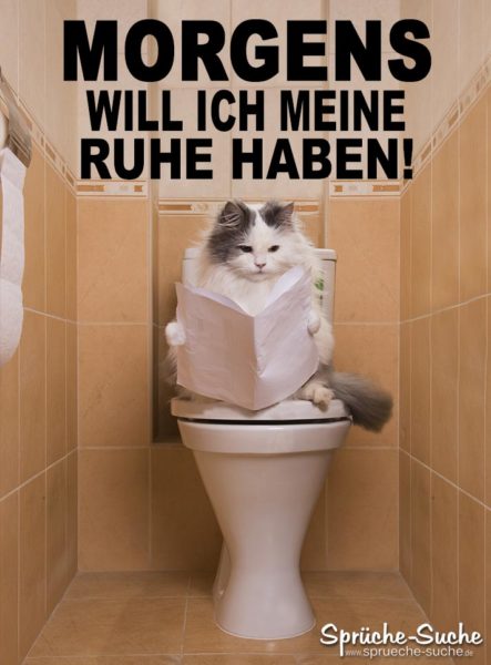 Katze auf Klo liest Zeitung