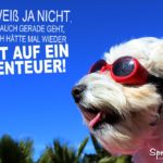 Lust auf ein Abenteuer - Spruch mit Hund